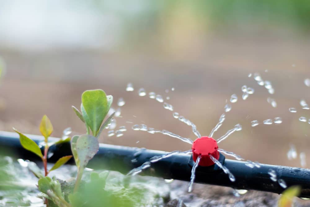 Sistemas de autoriego para jardineras exterior